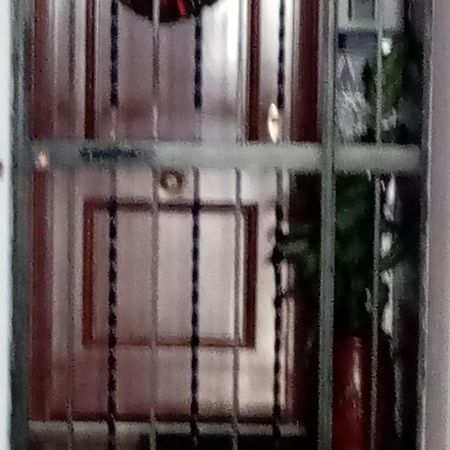 Shared Accommodation A Room With A View Of The Garden Σεβίλλη Εξωτερικό φωτογραφία